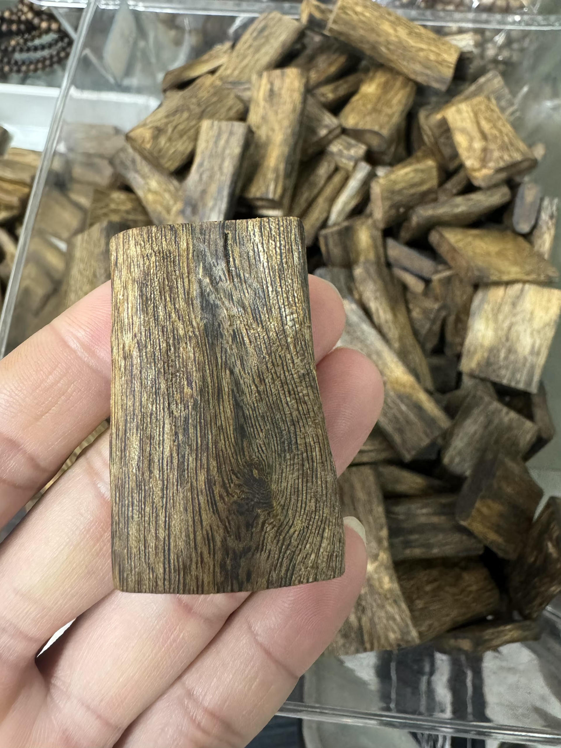 Madera De Los Dioses